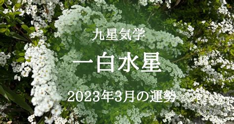 一白水星 2023|一白水星の2023年 運勢と吉方位